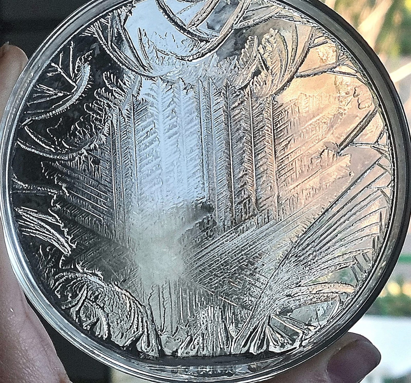 Chakra Drop: Veda Austin and the Consciousness of Water