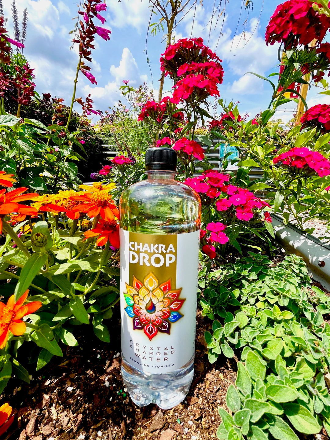 Chakra Drop Crystal Charged Water, 1 Liter (4-Pack) 9.5 pH, Mineralized & Energized